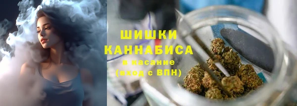 ПСИЛОЦИБИНОВЫЕ ГРИБЫ Пестово