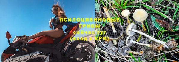 ГАЛЛЮЦИНОГЕННЫЕ ГРИБЫ Пересвет