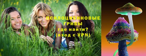 ГАЛЛЮЦИНОГЕННЫЕ ГРИБЫ Пересвет