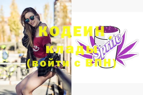 ГАЛЛЮЦИНОГЕННЫЕ ГРИБЫ Пересвет