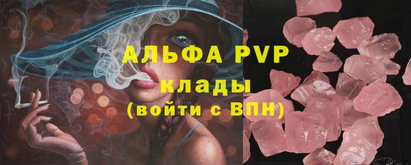 ГАЛЛЮЦИНОГЕННЫЕ ГРИБЫ Пересвет